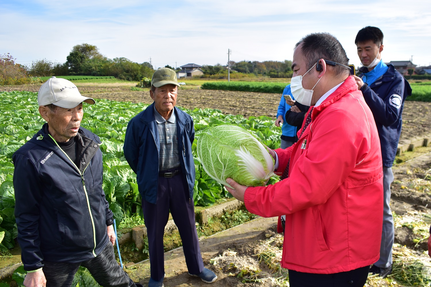 八開秋野菜組合　白菜の鉄コンテナ出荷　目揃え実施